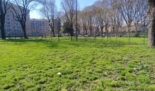 Lucento in festa: domani mattina tutti in campo per ripulire il giardino Cavallotti e le strade del quartiere Lucento in festa: domani mattina tutti in campo per ripulire il giardino Cavallotti e le strade del quartiere