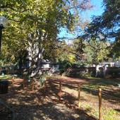 Uno scorcio del Parco Gay