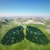 Mesotelioma pleurico, nuove prospettive con la doppia immunoterapia Mesotelioma pleurico, nuove prospettive con la doppia immunoterapia