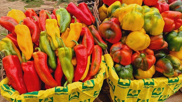 Appuntamento con Coldiretti alla Fiera del Peperone di Carmagnola