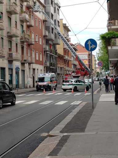 Soccorsi ostacolati da un rottweiler, pomeriggio da panico in via Bianchi
