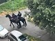 Giardini Maiocco, anche la polizia a cavallo per contrastare lo spaccio