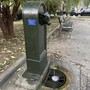 Riflettori accesi sui toret torinesi