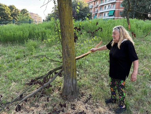 L'appello dei frequentatori del giardino di corso Caio Plinio