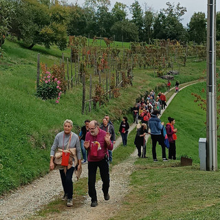 (Foto di repertorio)