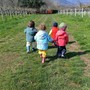 Bambini nei campi de Gli Gnomi dei Kiwi