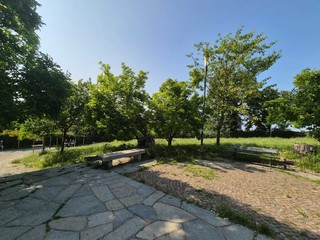 Situazioni di abbandono a Parco Europa