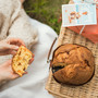 Torna la proposta estiva del panettone Galup