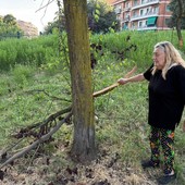L'appello dei frequentatori del giardino di corso Caio Plinio