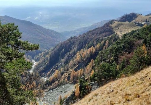 Legambiente Piemonte e Valle d’Aosta e Parco Alpi Cozie ‘duellano’ su ricerca e tutela del lupo