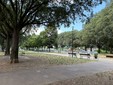 L'appello dei frequentatori del giardino di corso Caio Plinio