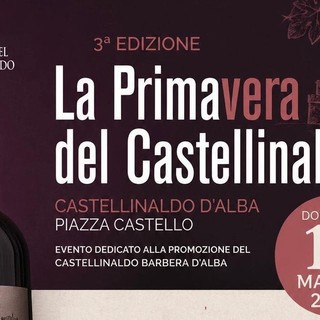 La Primavera del Castellinaldo Barbera d’Alba La Primavera del Castellinaldo Barbera d’Alba