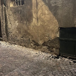 Gli scarafaggi in via del Pino