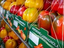 Fiera Nazionale del Peperone di Carmagnola: tanti gli eventi POP