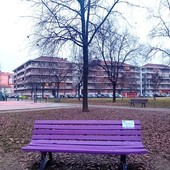 Carmagnola inaugura una panchina viola per sensibilizzare sulla fibromialgia Carmagnola inaugura una panchina viola per sensibilizzare sulla fibromialgia