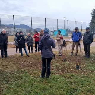 A Pinerolo si celebrano resistenza, speranza e rinnovamento con i ‘Giorni del Calicantus’