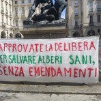 Riqualificazione di corso Belgio, dopo le proteste primi interventi nel 2027 Riqualificazione di corso Belgio, dopo le proteste primi interventi nel 2027