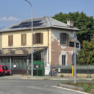I successi e le sfide della nuova gestione del canile di Pinerolo