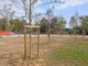 Parco del Valentino, l'allarme di Procivicos: "Gli alberi piantati sono già secchi" Parco del Valentino, l'allarme di Procivicos: "Gli alberi piantati sono già secchi"