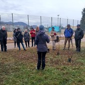A Pinerolo si celebrano resistenza, speranza e rinnovamento con i ‘Giorni del Calicantus’