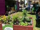 Uno spazio verde aperto e inclusivo in Lungo Dora Firenze, curato da Qubì: stasera l'aperitivo di inaugurazione