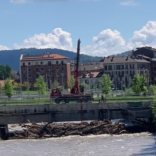 Tronchi e rifiuti sotto i ponti della Dora, 15mila euro per liberare l’alveo