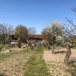 Ranch delle Donne