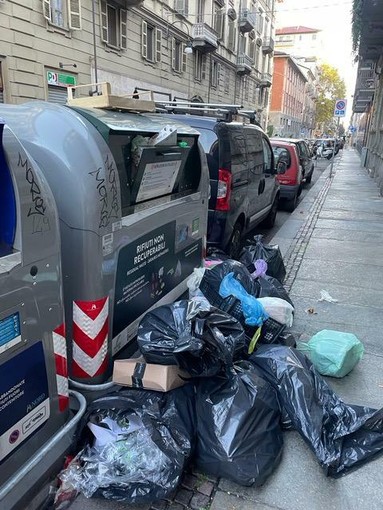 Rifiuti e blatte in via Ormea, il Comune rassicura: "Servizi attivi e monitoraggio costante" Rifiuti e blatte in via Ormea, il Comune rassicura: "Servizi attivi e monitoraggio costante"