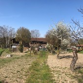 Ranch delle Donne