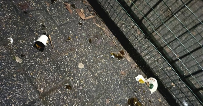 Cocci di bottiglia nei giardini Alimonda Cocci di bottiglia nei giardini Alimonda