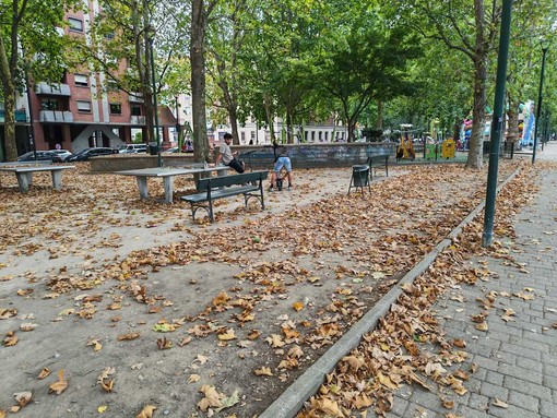 Largo Sempione sommerso dalle foglie secche: Garcea (Fi) chiede una pulizia urgente Largo Sempione sommerso dalle foglie secche: Garcea (Fi) chiede una pulizia urgente