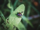 Foto di Richie Bettencourt - tamite Unsplash Foto di Richie Bettencourt - tamite Unsplash