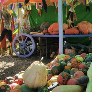 Scegli e porta a casa la tua zucca: ad Anzeno c'è aria di Halloween con la 33^ edizione di &quot;Tutto zucche&quot;