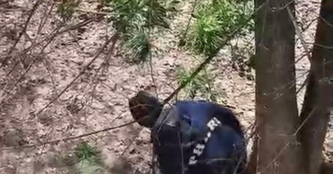 Gli spacciatori hanno trasformato il giardino in un wc