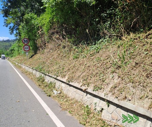 Provinciale 58 del Pedaggio a Castellamonte: senso unico alternato fino al 31 agosto Provinciale 58 del Pedaggio a Castellamonte: senso unico alternato fino al 31 agosto