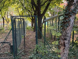 In corso lo sgombero di una ex bocciofila In corso lo sgombero di una ex bocciofila