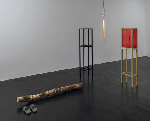 Griffa e Starling a confronto: in mostra cinque dialoghi per immagini