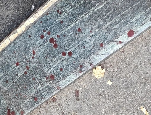 Foto di archivio di tracce di sangue sul terreno