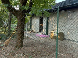 In corso lo sgombero di una ex bocciofila In corso lo sgombero di una ex bocciofila
