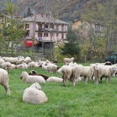 (Foto di repertorio)
