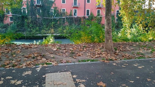 La staccionata scomparsa lungo la Dora La staccionata scomparsa lungo la Dora