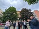 L'appello dei residenti per la potatura degli alberi