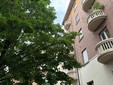 L'appello dei residenti per la potatura degli alberi L'appello dei residenti per la potatura degli alberi