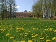 La Mandria punta sul futuro, nuovo piano per far rinascere Borgo Castello La Mandria punta sul futuro, nuovo piano per far rinascere Borgo Castello
