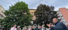 L'appello dei residenti per la potatura degli alberi