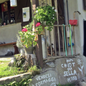 Arriva “Una Giornata in Alpeggio”
