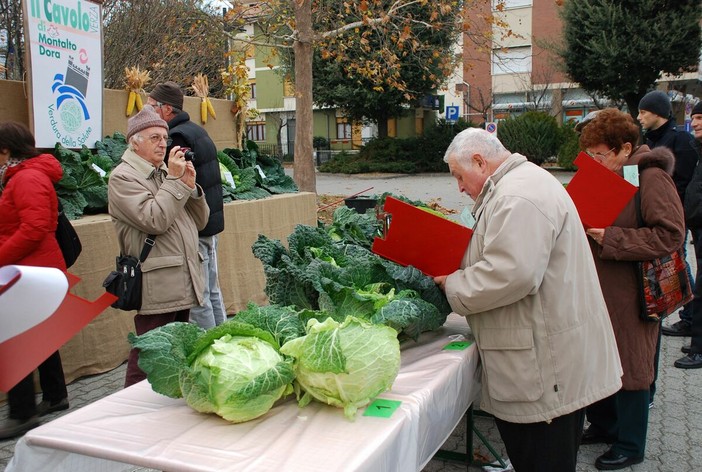 La sagra del Cavolo Verza è nata nel 1996 La sagra del Cavolo Verza è nata nel 1996