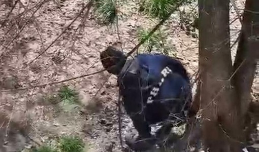 Gli spacciatori hanno trasformato il giardino in un wc