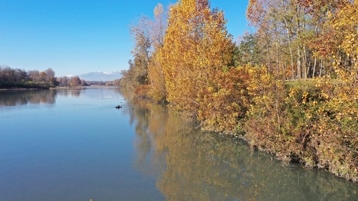 Oltre 2 milioni di euro per la forestazione urbana di Chivasso