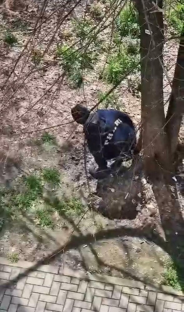 Gli spacciatori hanno trasformato il giardino in un wc